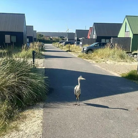 912-hvide-sande-langsand-188-stuen * Hvide Sande